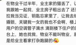 吃瓜爆料qq群污,污言秽语背后的网络乱象